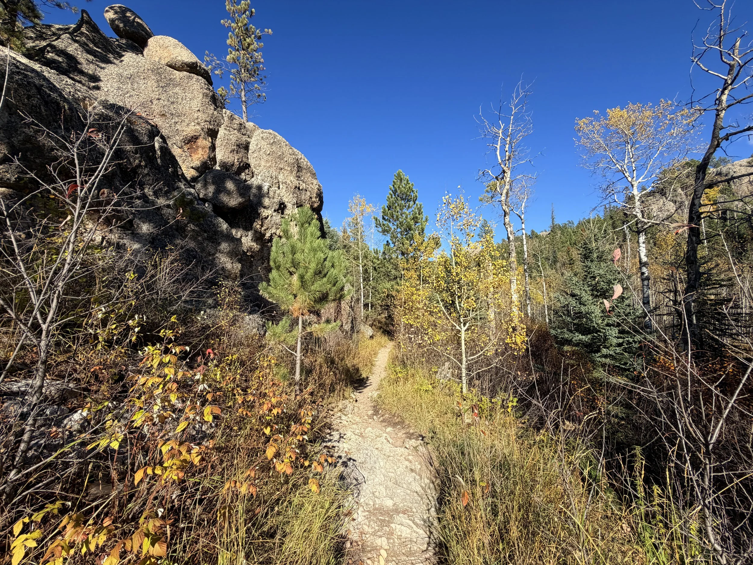 ¥ellow Bucks & Playsson / City View Hiking the Little Devils Tower Trail in Custer State Park in the